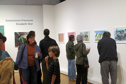 Evolutionary Processes Opening Reception April 4th, 2013